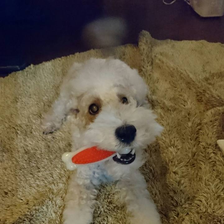 7c7c5d65 301f 4f01 ba72 fc6548baba7a