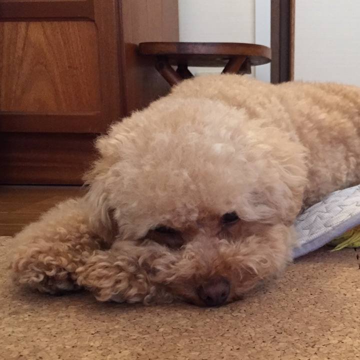 7c7c6b67 d9a6 46a3 a3b5 e44ce65dc401