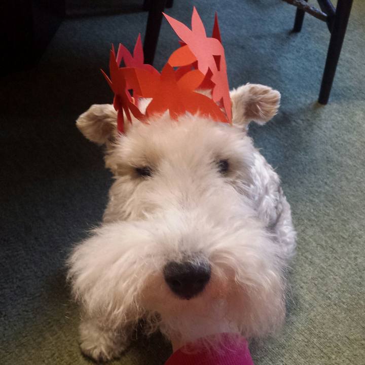 7c7c7c44 26e1 4439 a7c4 8bec31125005