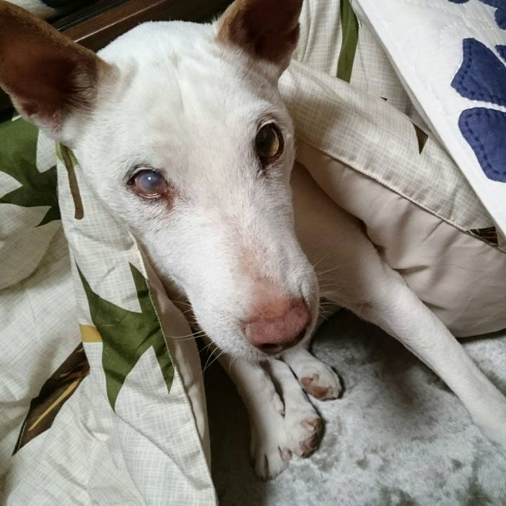 7c7cec01 3b6c 462b a91a a259fe359631