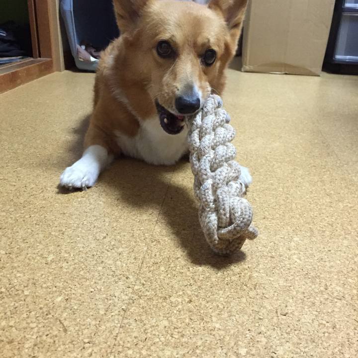 7c7d3c93 7815 4bf8 8a3c 5f2fb8285e34