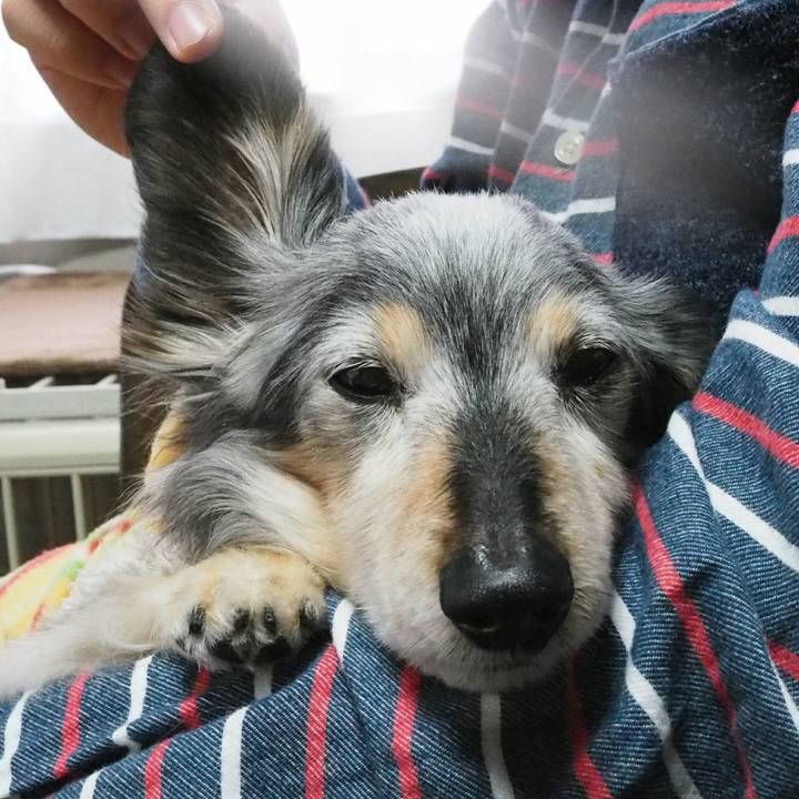 7c7e708a b008 416e 9ea6 65f124f2a350