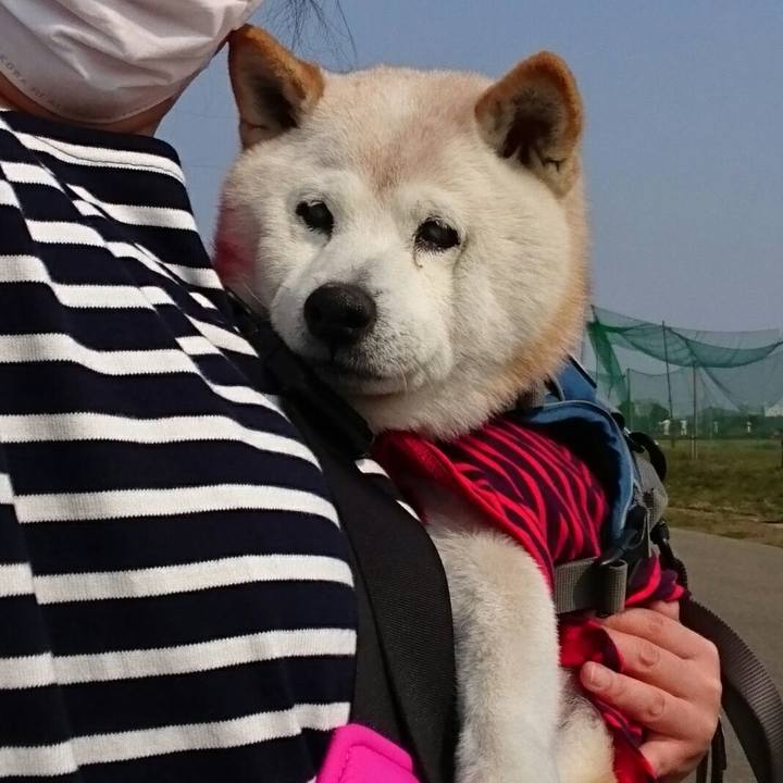 7c7f1b23 52ed 445b 9b29 9a08f3f561ef