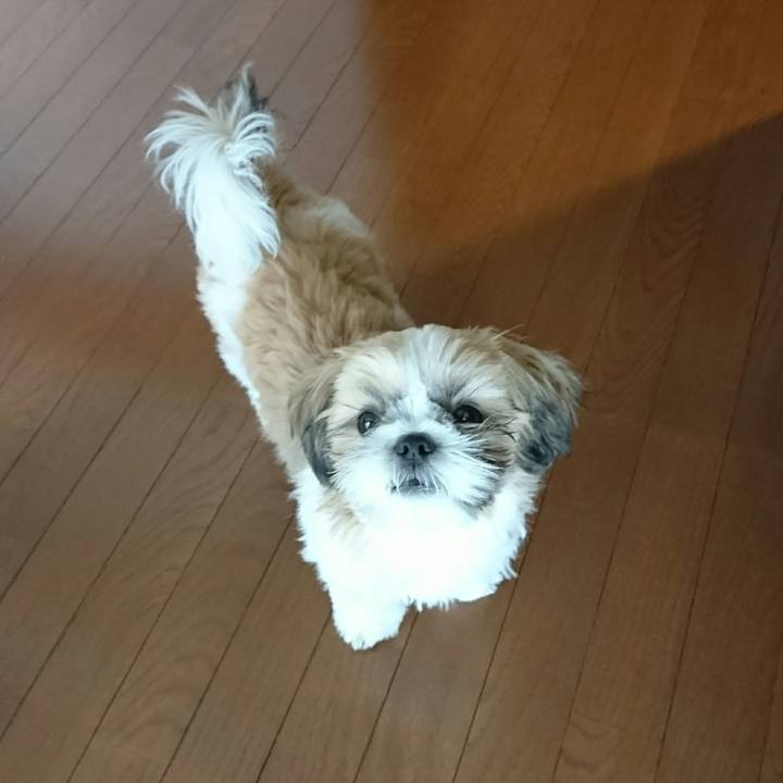 7c7f41fd 6fd3 4b6a 8e7d e7ea5431bea9