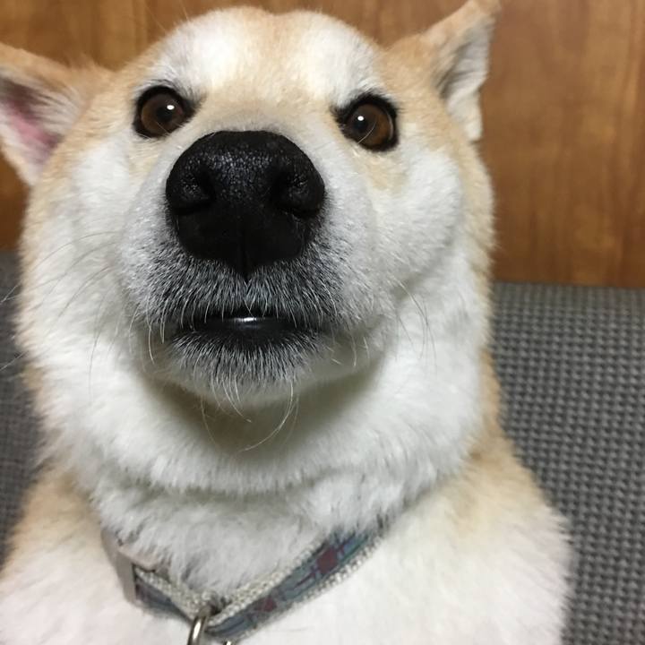 7c7fc942 4367 4b09 9d41 c0606edee928