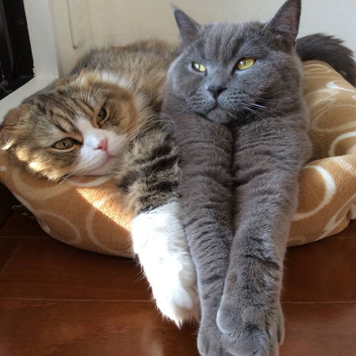 7c7fe142 378d 4f41 be9e 2b0d8ca0ca49