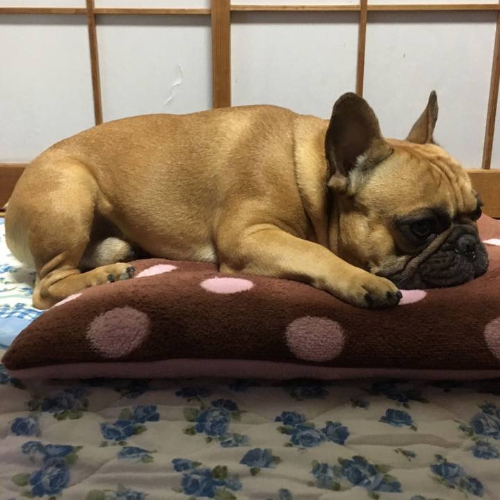 7c8015dd 6316 46eb b21d acd8cf3f942b