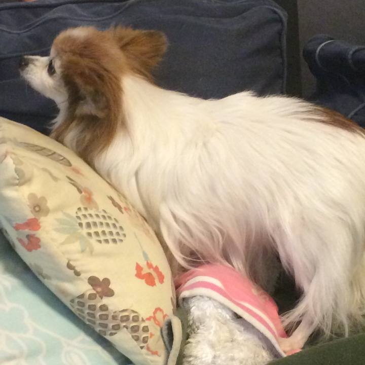 7c805536 6a3d 45c4 902c 9ec1b749f663