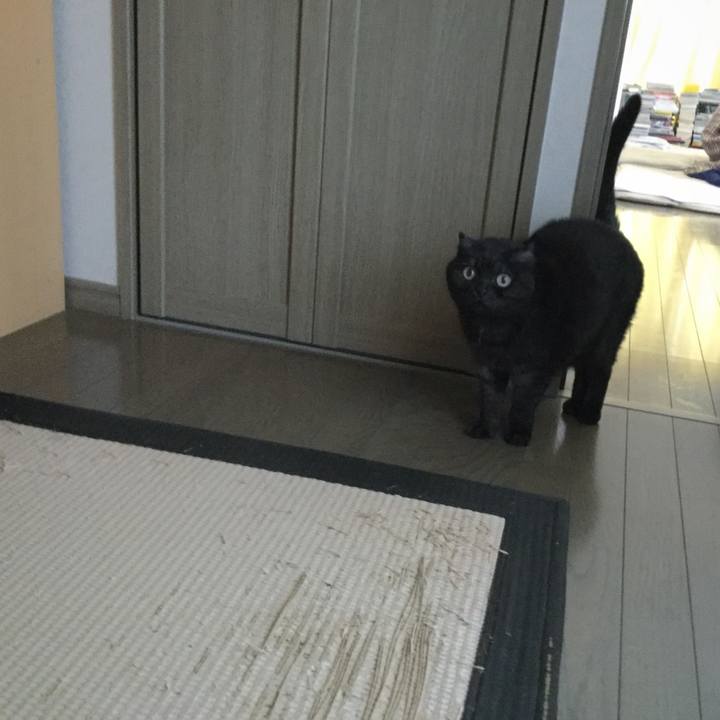 7c8085ab 47a9 4891 aff4 8eb2e7f497b3