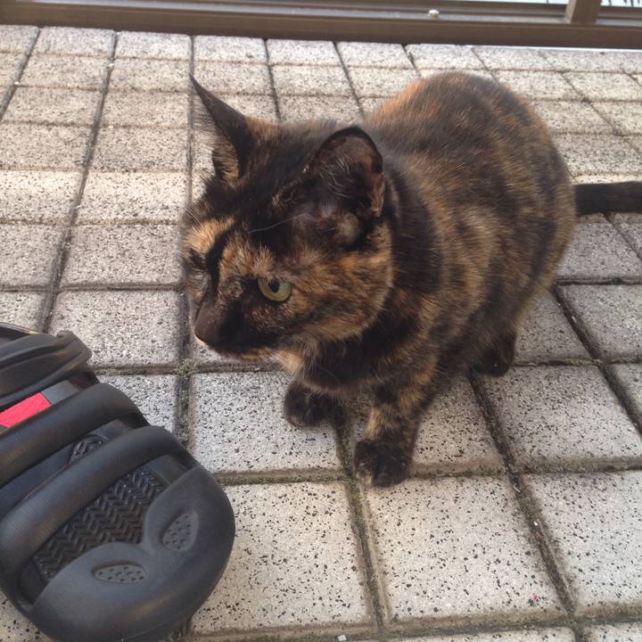 7c809da4 90db 4b41 8103 c9a81bb786ac