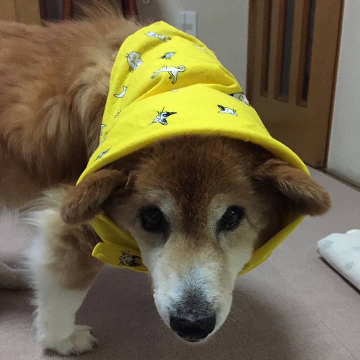 7c80d350 a310 48b2 8f97 64f9eb96fdfa