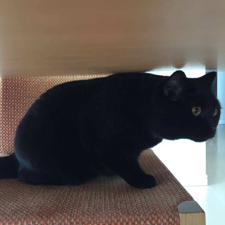 7c80ff78 411c 4f60 848c ebaf560f7d04