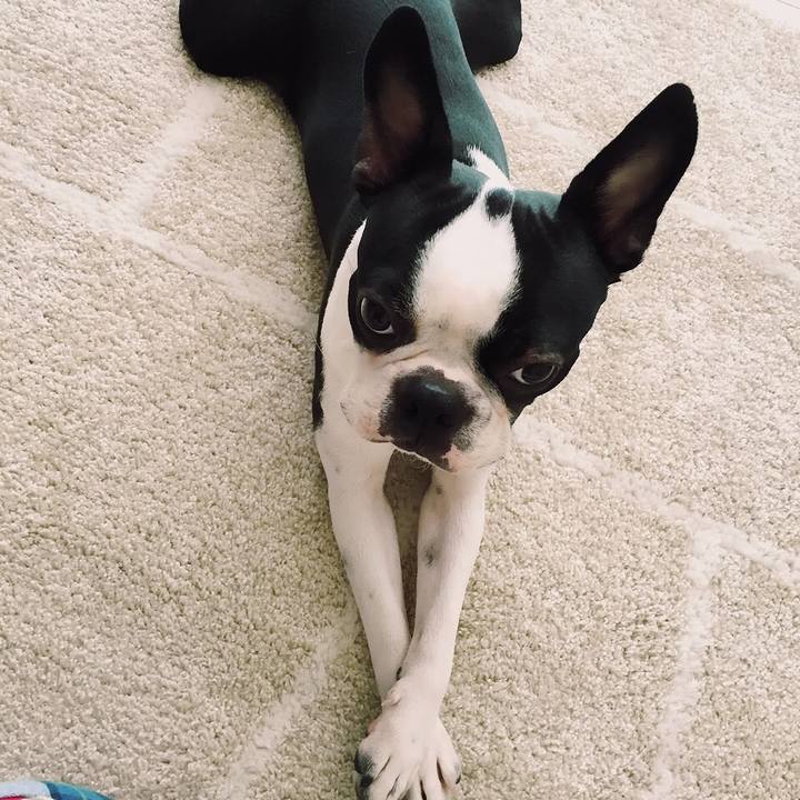 7c81360d 5b29 4197 ba03 72fad6b0ace4