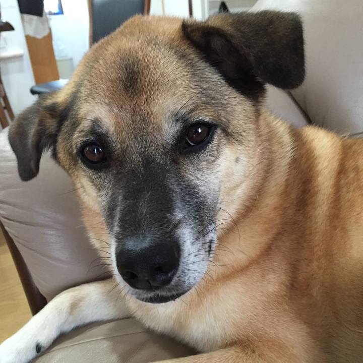 7c815e24 8f41 4e77 b246 55feb3b51230