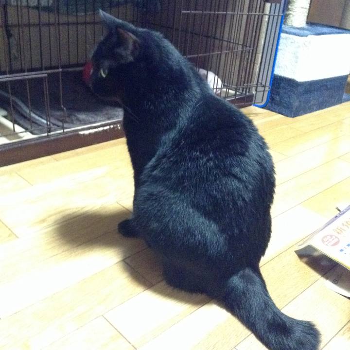 7c81b6bc 7575 4c05 b983 ee95a0e7fb75