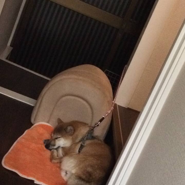 7c81c4af 7197 4f13 8220 083f80fdeeb7