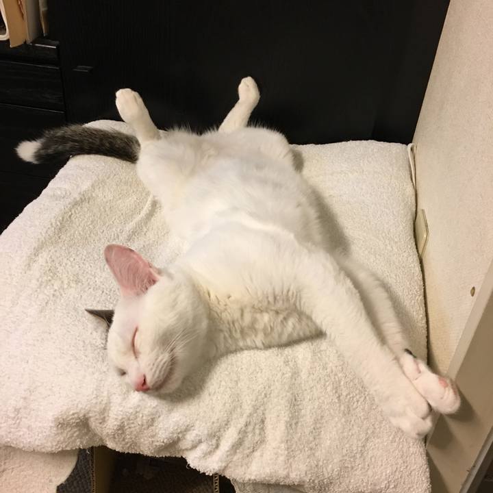 7c829535 d729 4115 91ef 157fa22438e2