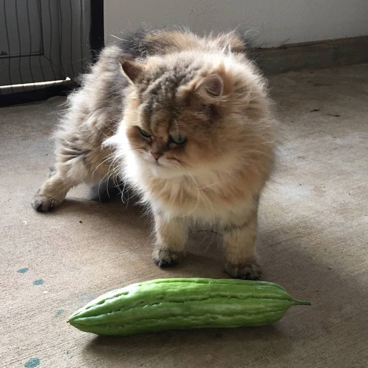 7c83924e b727 4f9e 8c54 d3600570cfbb