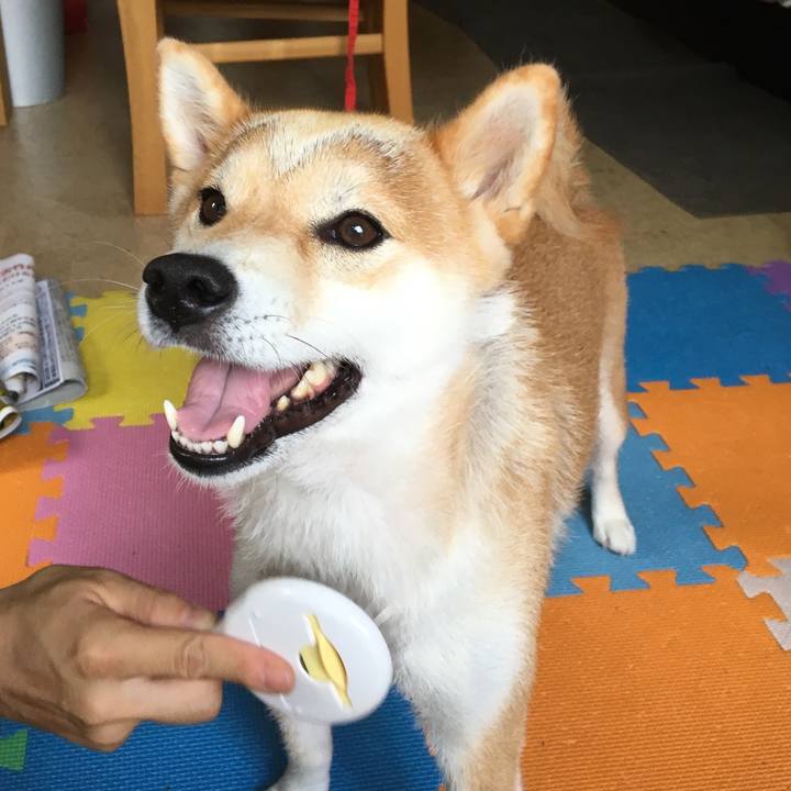 7c843642 236f 4f22 9a64 ab691f90f3c2