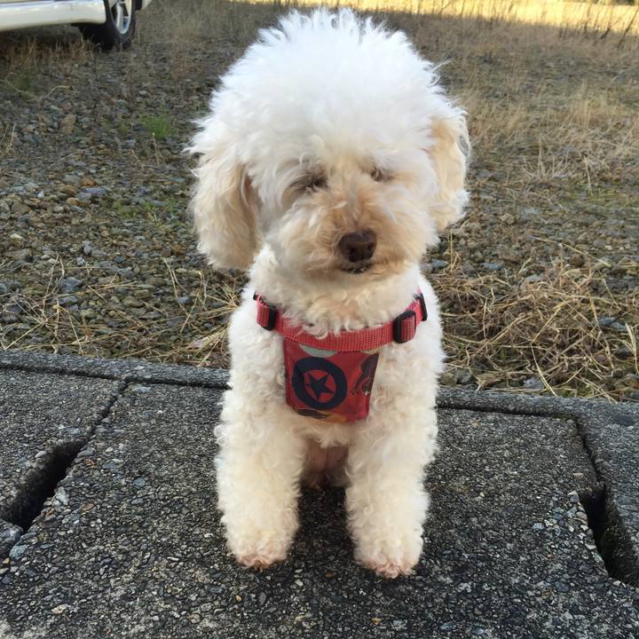 7c84b6cc 6a56 492f b48e 28372ef9fed4