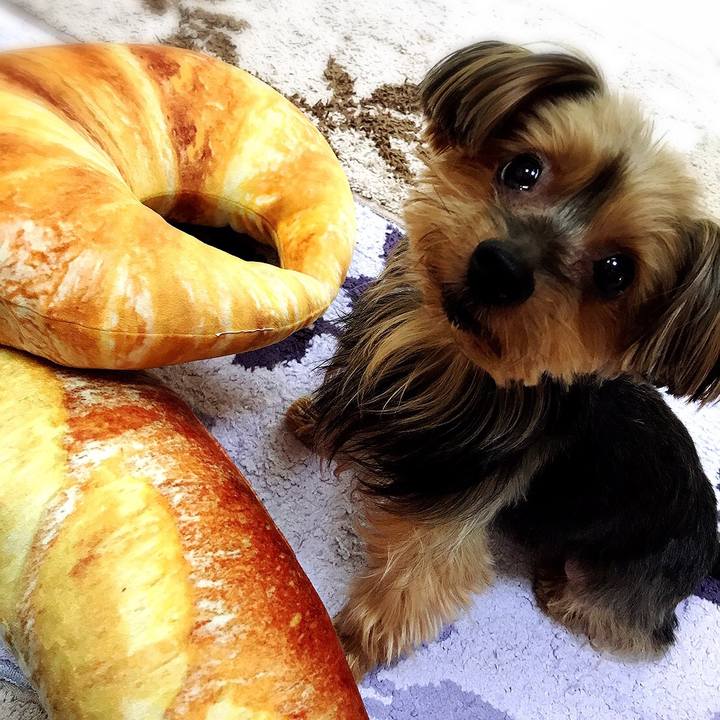 7c85284f de2c 4829 8ff9 83bae72109e7