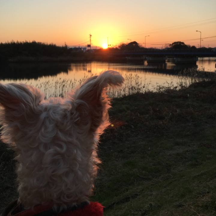 7c8622a3 a26a 4b98 8bc2 1e3cd3d4ab85