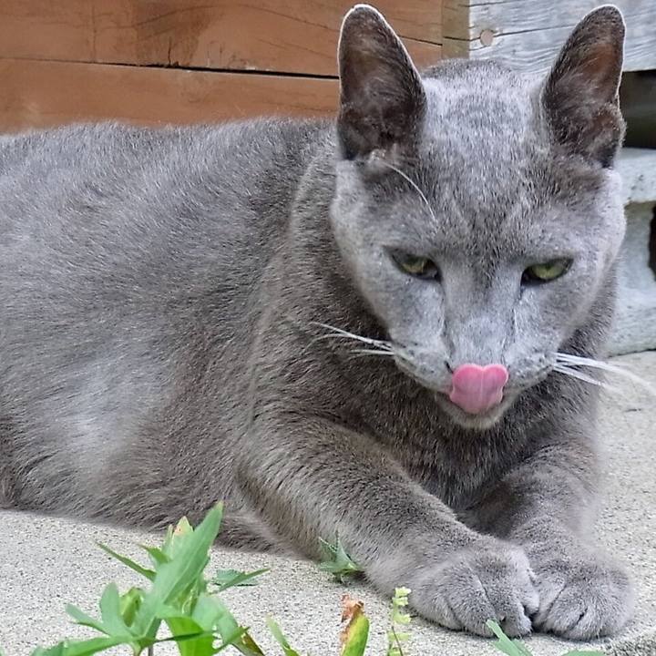 7c8681f1 2f23 4c53 b49b 0177d02d7b63