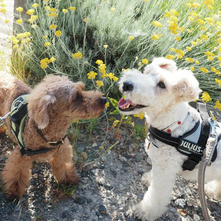 7c86d7e5 dedd 4561 81f8 7d3b9ba4fd42