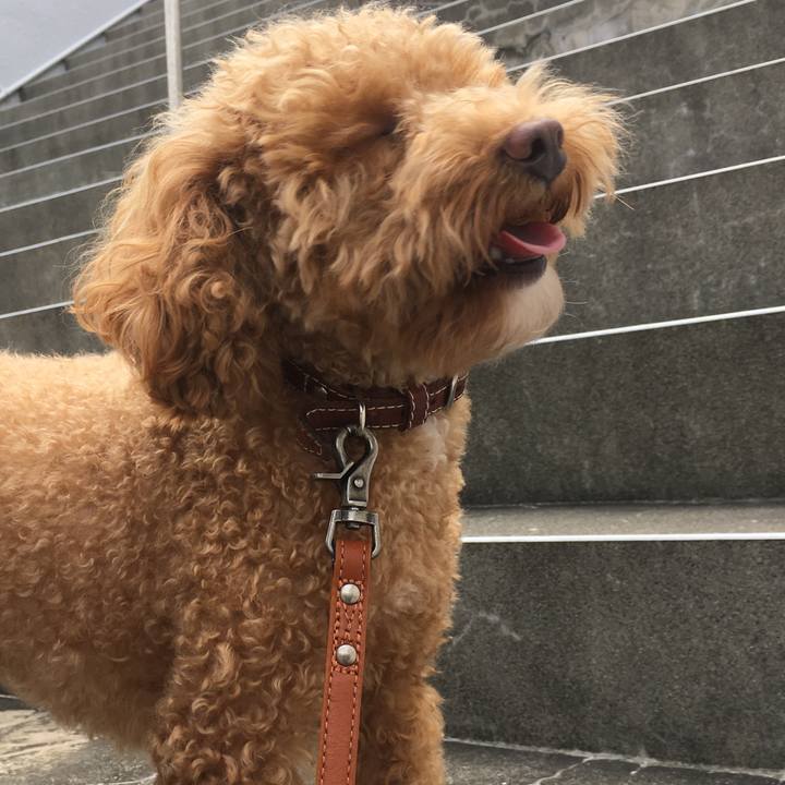 7c87079b d2c0 45cd bf52 fac0632b6b1b