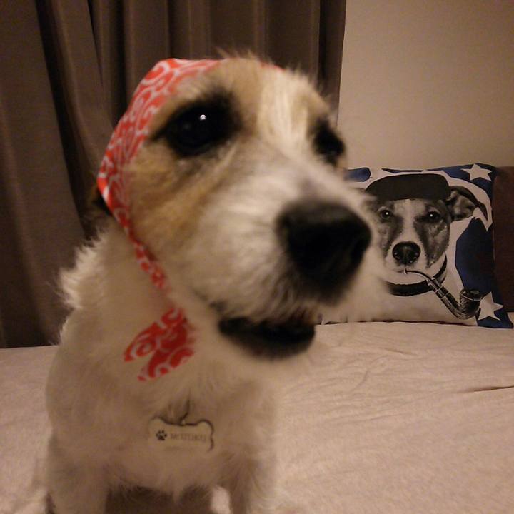 7c87459e 0c71 401b 8727 c134b9934ee4