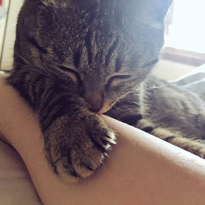 7c877bb0 5c0c 4de9 a394 7d821c9a3952