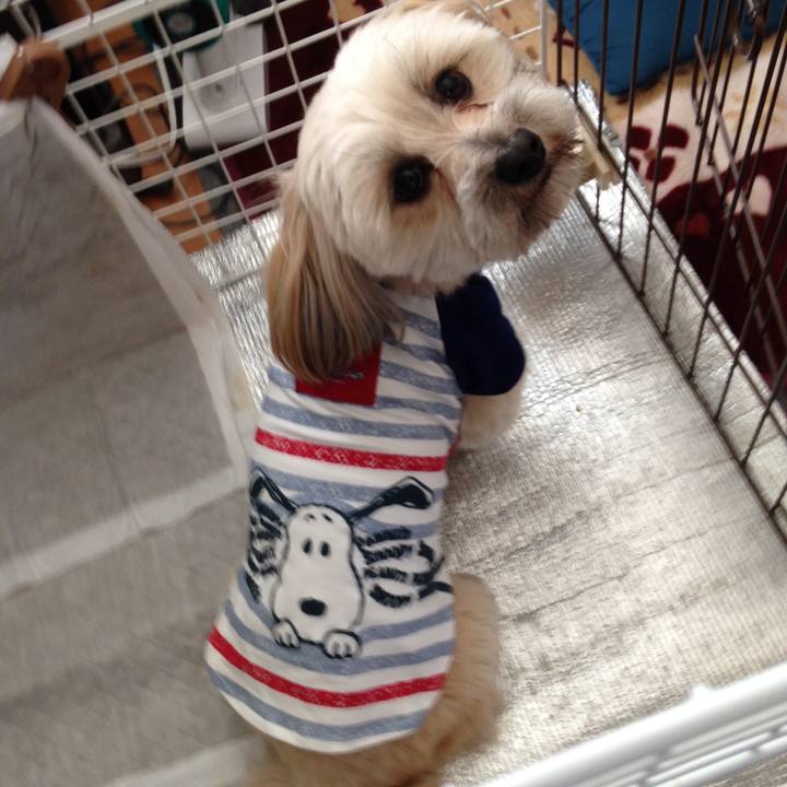 7c878b20 9492 4a0a 8742 8cec9e08a40b