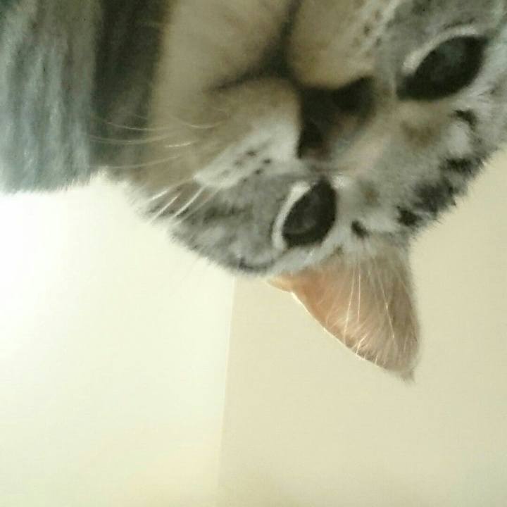 7c87d74d 2761 46be a343 61bbac7d5326