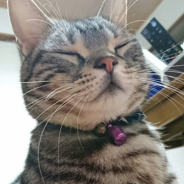 7c8833b7 6c6e 4e65 96bb ae2c67f8c87c