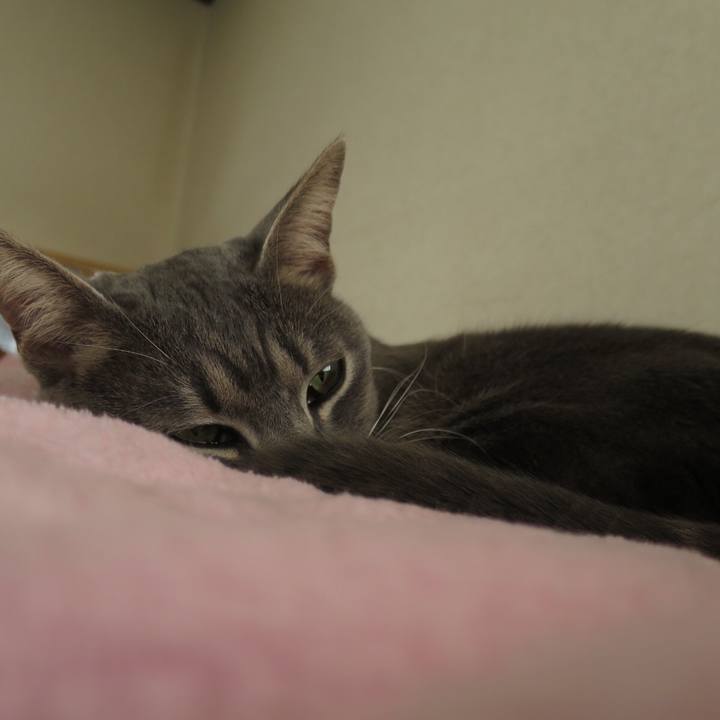 7c884c66 358e 467d 8662 8a0244e00ac4