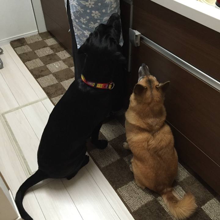 7c88b525 7c20 4d32 a614 3f8109b26445