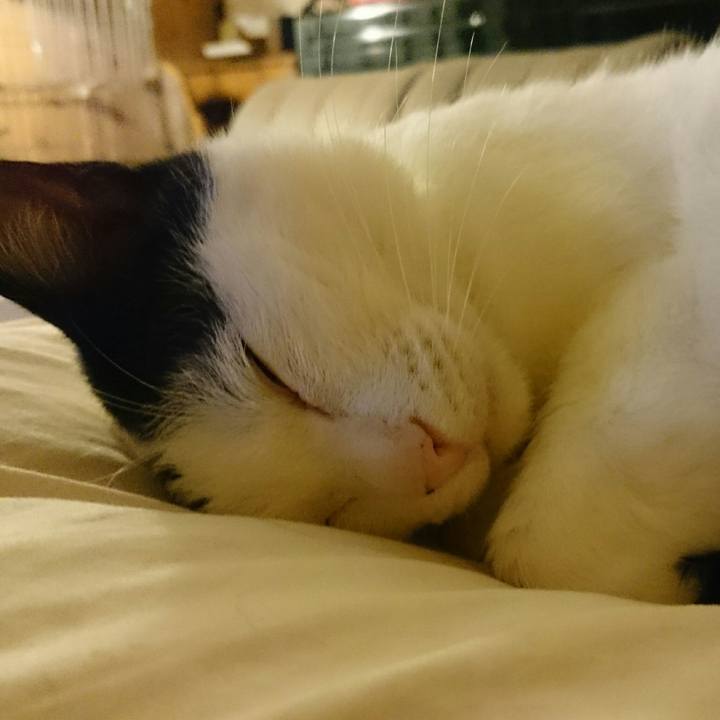 7c890944 f215 4506 a7d5 43932f602e1f