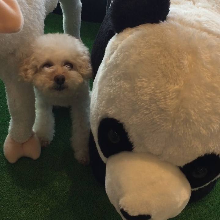 7c896539 b823 4bd7 8cf7 85856b8af566