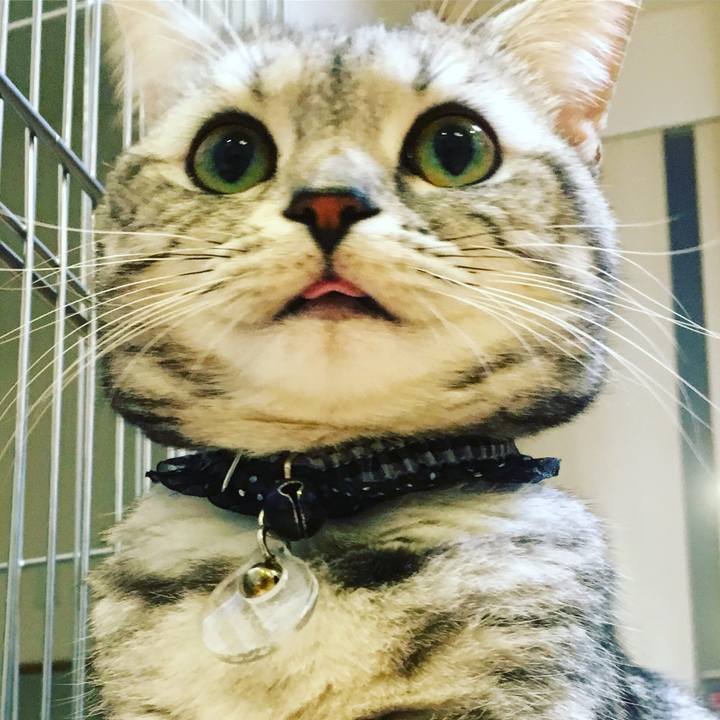 7c896905 208a 451f 9d06 401bbd42c53f