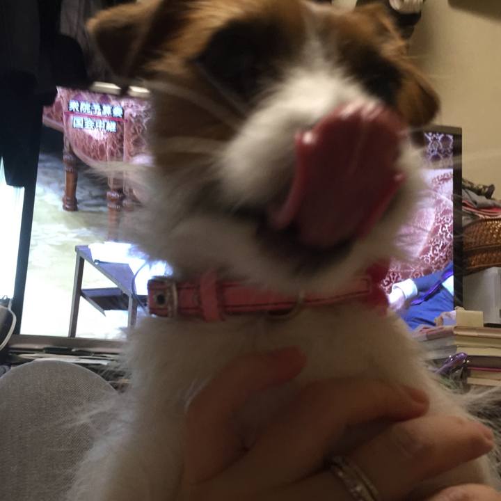 7c899a99 c996 40f8 b836 63ebd654136c