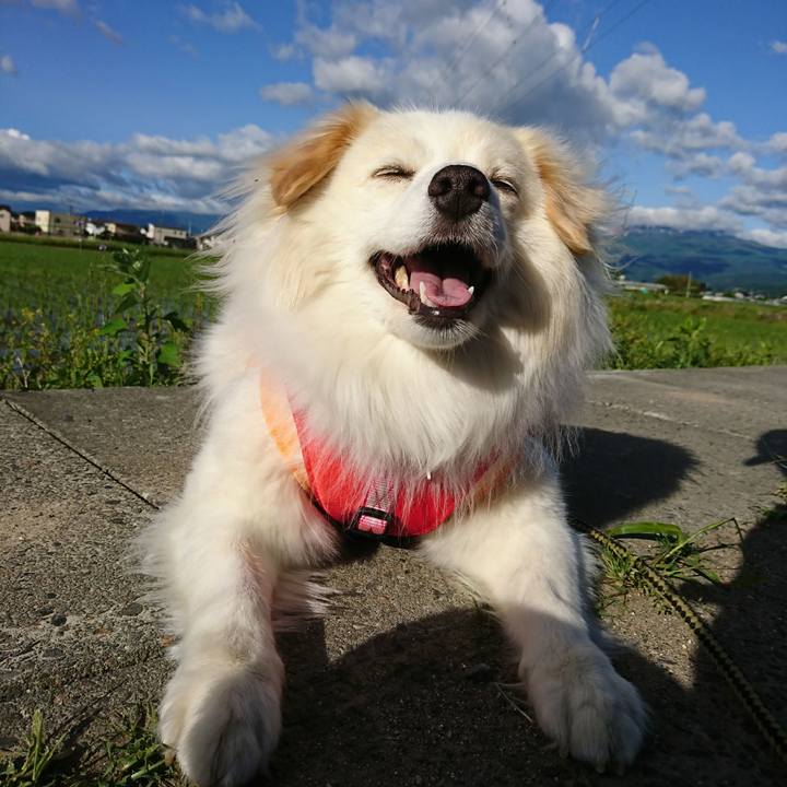 7c89ca6d b134 4294 b686 7922929c7e09