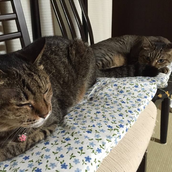 7c89f3f1 5912 4744 883f 5f95d918a5bc