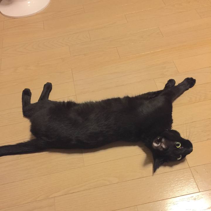 7c8a0133 bae8 475c bc0e 2f686e4691c4