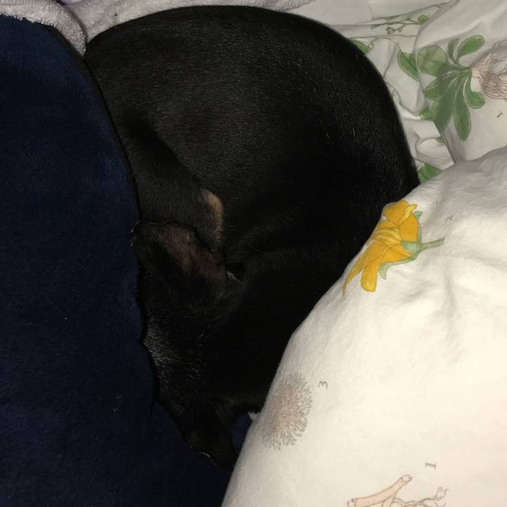 7c8a387b d81f 40a6 8fe6 d91fa5fa9f8b