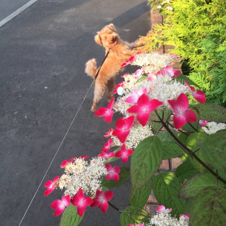 7c8a68e1 bdb9 4bc8 95aa d7a3e2c4d8b0