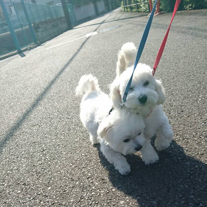 7c8adae5 7260 4c3e b752 56cbff6a0388