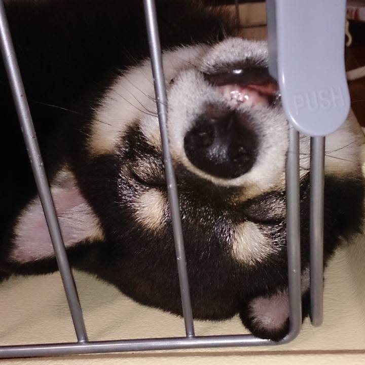 7c8ba65f a1c1 4c94 9741 ed75d75b7f74