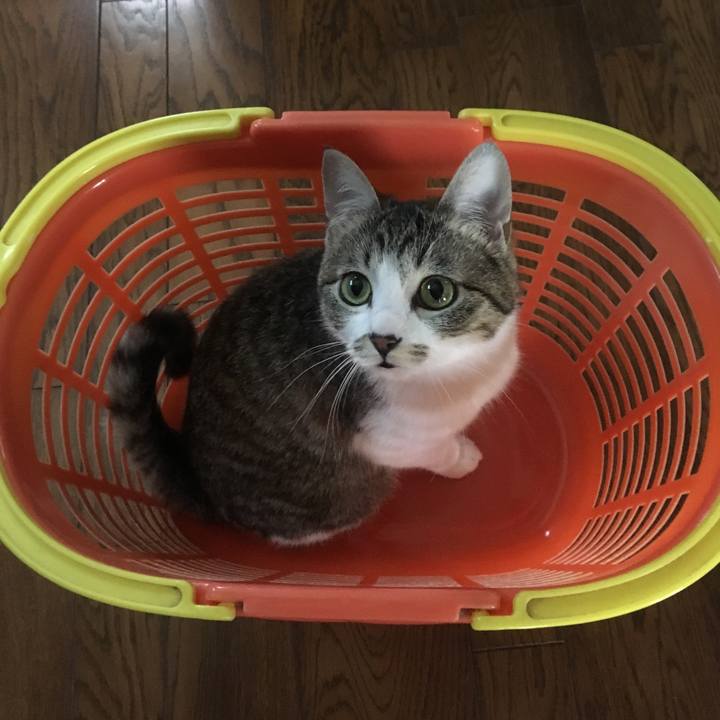 7c8bd162 ca29 46d5 87ad 6caae41e87d4