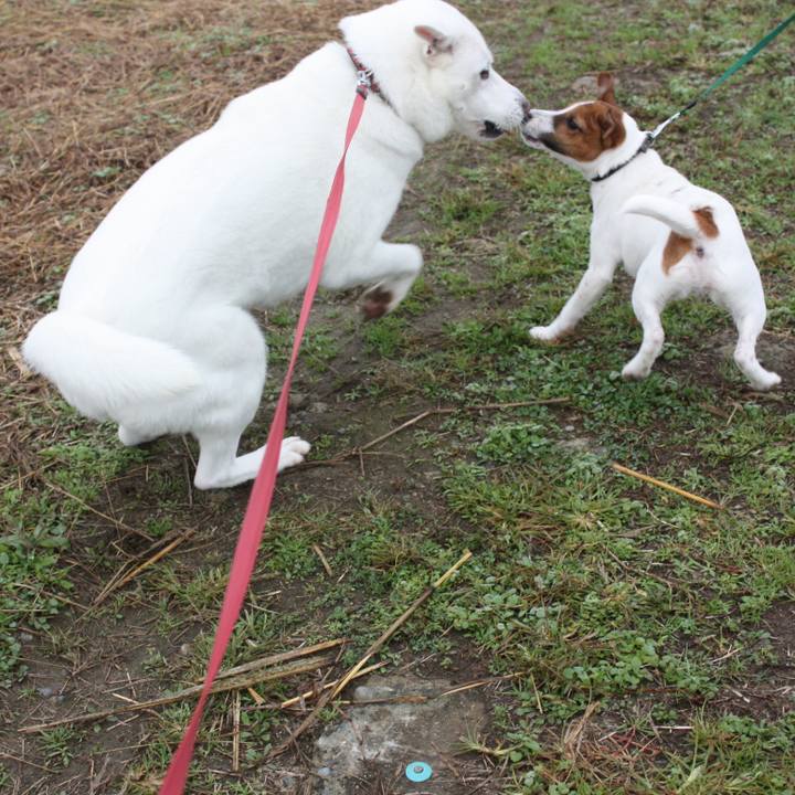 7c8c3920 4beb 4f2e b937 8c6135e8ae01