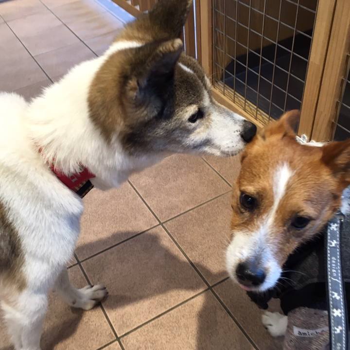 7c8c44db ddba 4fa2 900d 89a1fcfc590c